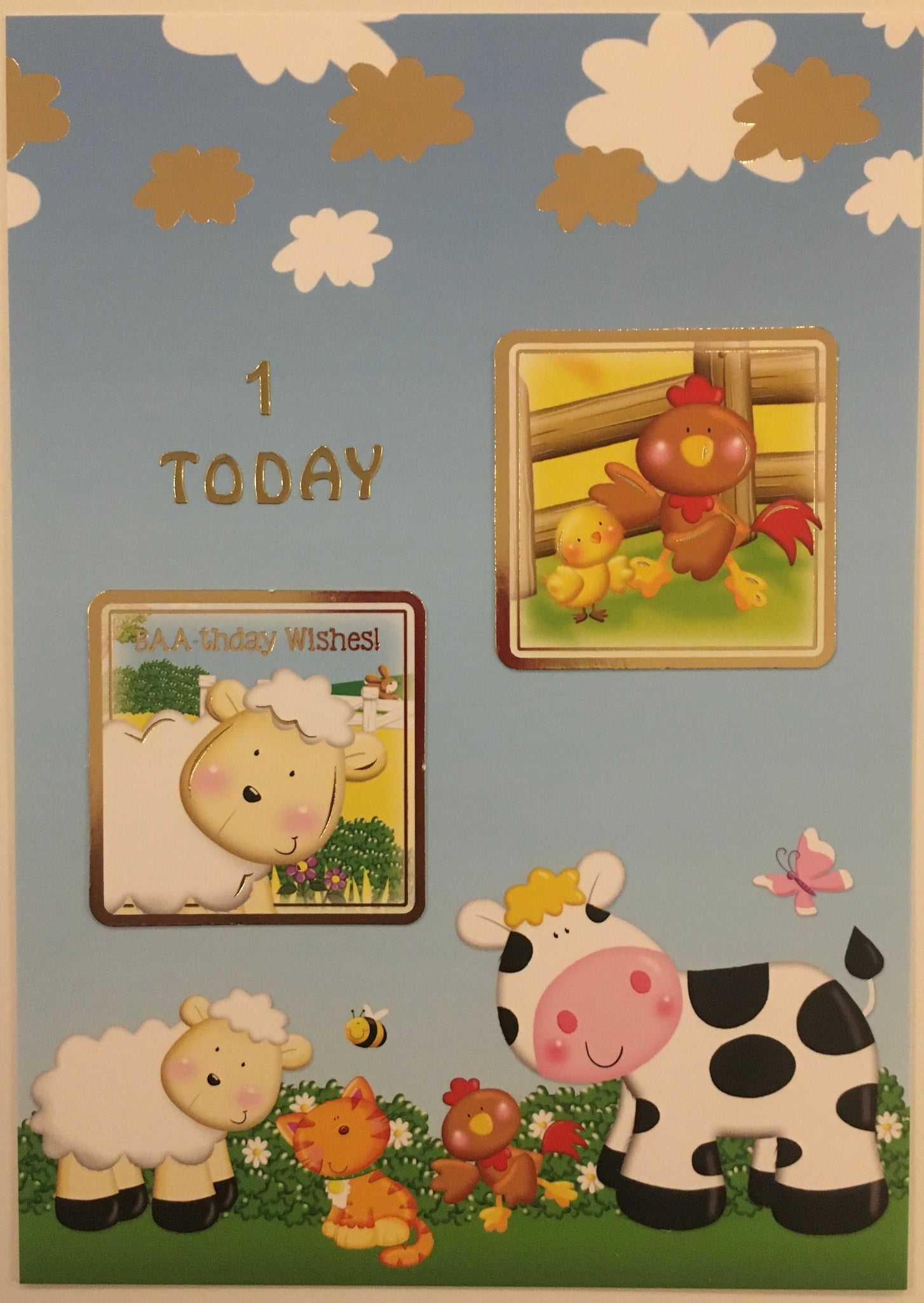 Birthday- 1st Birthday